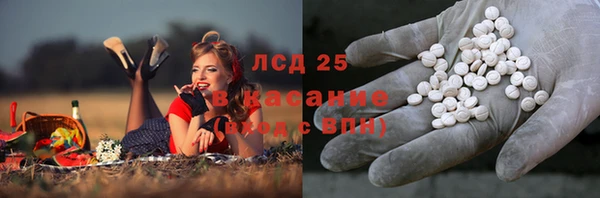 винт Богданович