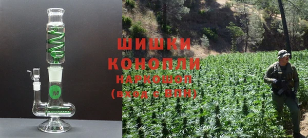 винт Богданович