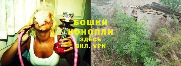 винт Богданович