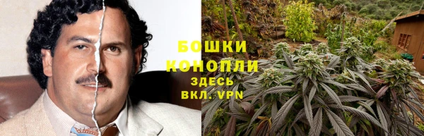 бошки Богородицк