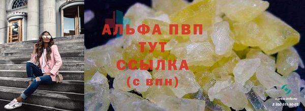винт Богданович