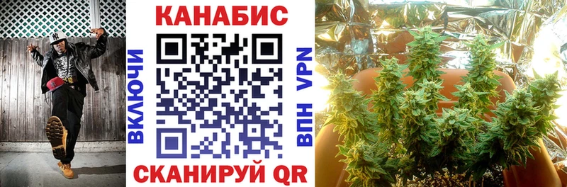 mega tor  Дорогобуж  площадка Telegram  продажа наркотиков  Каннабис семена 